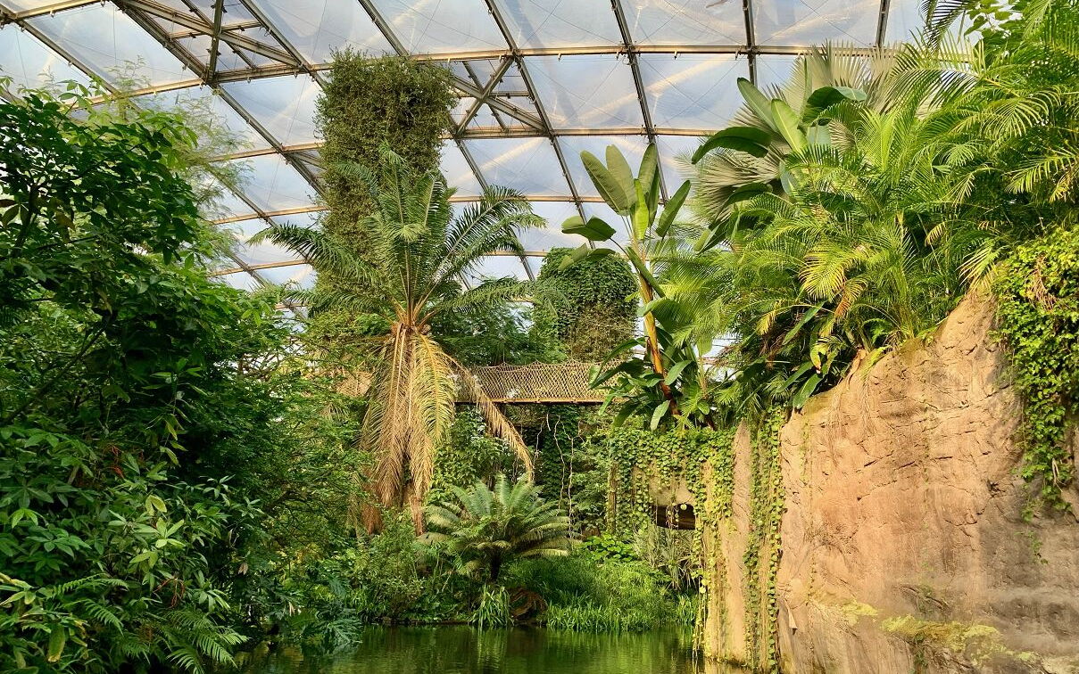 Geo-Exkursion zum Gondwanaland