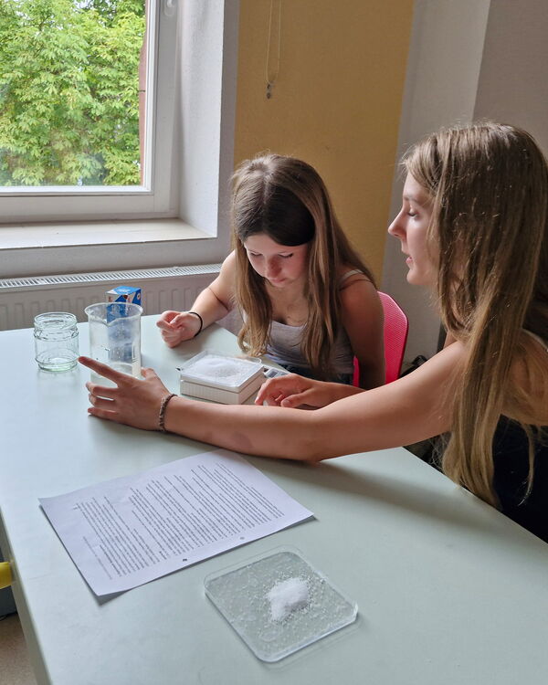 Projektwoche 2026 zum Thema Salz